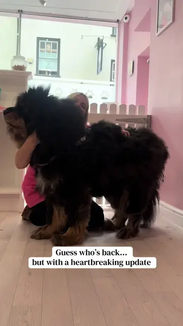 He’s back 🥹🥹🥹 He stole all of your hearts last time and he’s about to even mo