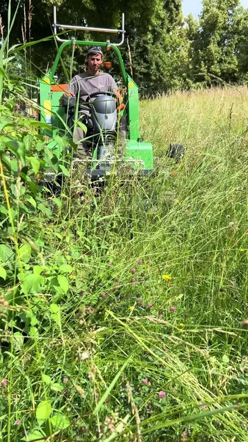 #creatorsearchinsights #GrassCutting #asmrsounds #Landscaping #YardWork 