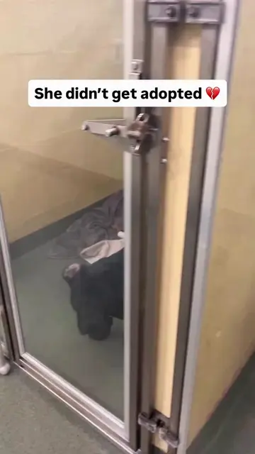 She’s one of our shelter’s longest residents 😔🙏  Fiona was hoping to get her f