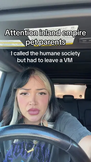 UPDATE: posted + ivhs contacted me and confirmed animals are in their custody.  