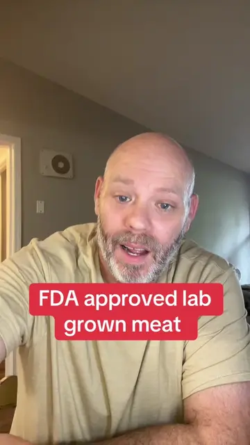 Lab grown meat gets fDA green light #creatorsearchinsights #tiktok #usa #food #d