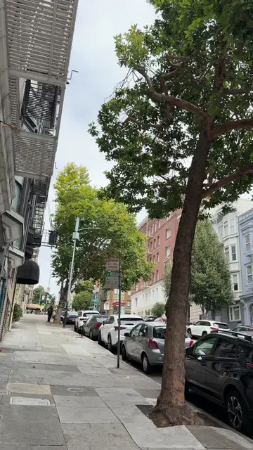 This San Francisco studio apartment is listed on @TAP (The Apartment Plug) ✨💛⭐️