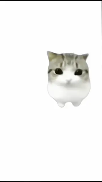 pov: best app for manga animation explained by meme cat  妙脆角😺 #fyp #妙脆角 #meme #