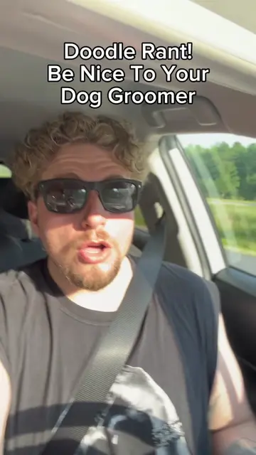 Let’s all be #sfr right now #doggroomerlife #doggroomer 