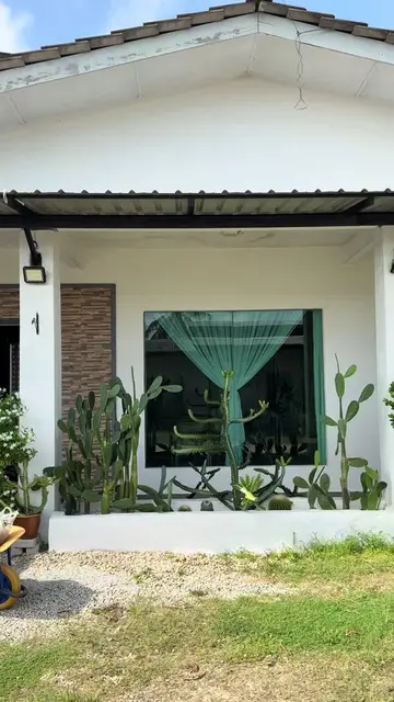 Eh… macam mana boleh mengikut balik semua ni? 🤣🌿 Hai korang..jom tengok pokok2