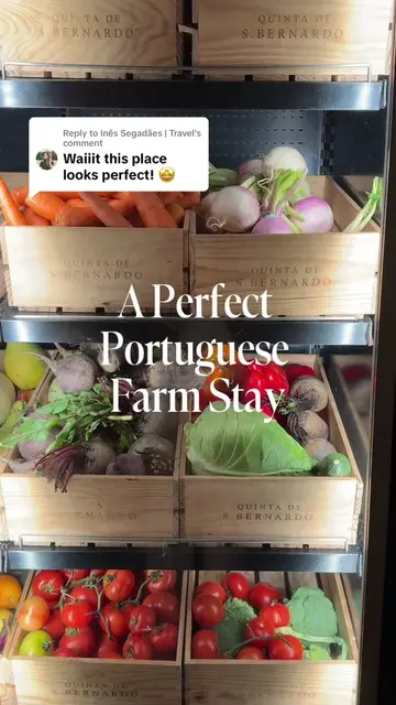 Replying to @Inês Segadães | Travel this find because my husband booked it, but 