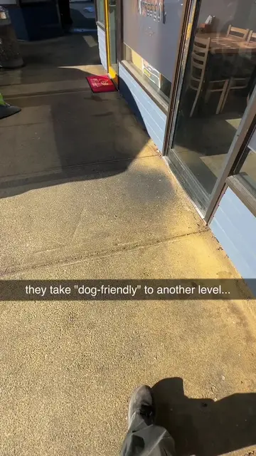 Day 27 of the series - training my dog with anything BUT her food 🥗🍖 this time