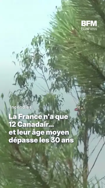 Incendies : pourquoi si peu de Canadair en France ? 🔥🛩️ Alors que les premiers