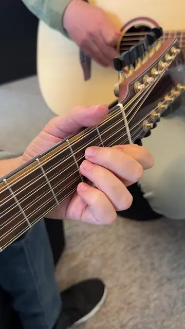 The Stranglers - Golden Brown - Enjoying this 12 strings Furch guitar with Micha