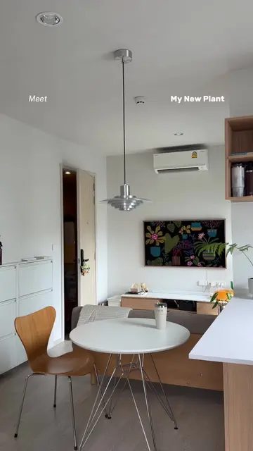 plant diaries ep.4🌱 ต้นอรพิมที่ตามหามานาน 💚  #roomdecor #แต่งคอนโด #แต่งบ้าน #