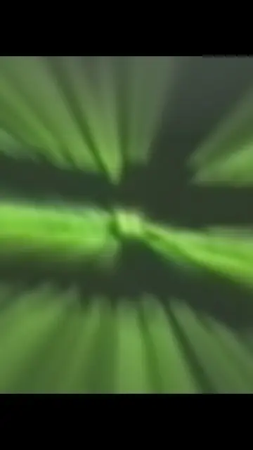 Day 21 of scaling my AI startup and the reality of it looks exactly like this. E