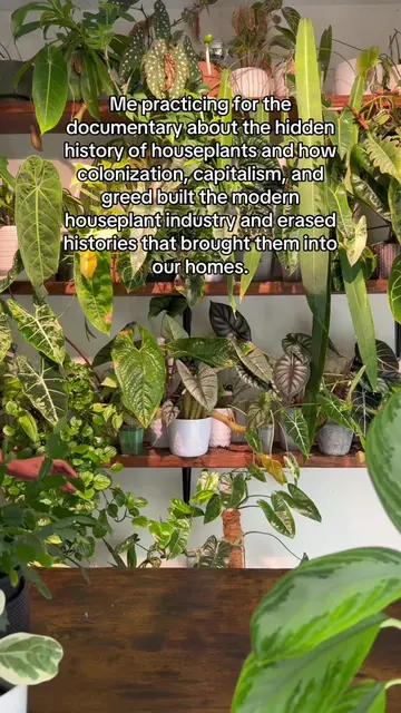 And once I get started, I won’t be able to stop 🪴🤷🏾‍♀️ #plantmom #PlantLover 