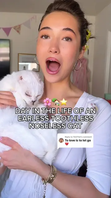 Replying to @Tb371xh ✨HE LIVES THE DREAM✨🐱 so excited for him to be  healed omg