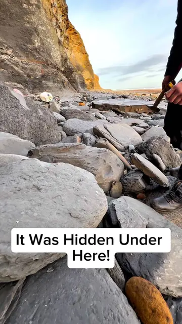 We hunted for fossils on remote pebble beach filled with Jurassic Age fossils 😱