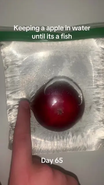 #viralchallenge #pleasedontflop #appleexperiment #appleinwater #sciencefun 