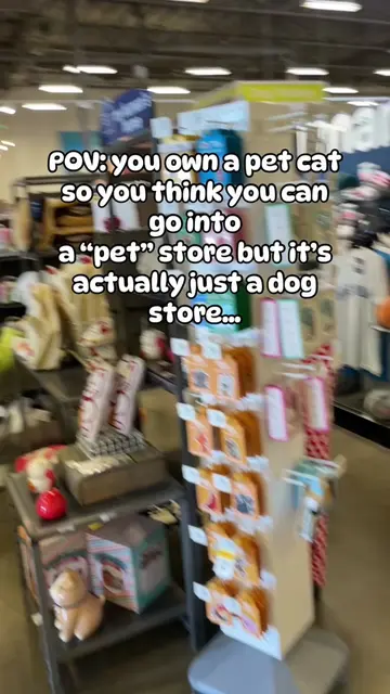 Petco = Dogco #cat #cats #catsvsdogs #petstore #lucygoosiecats 