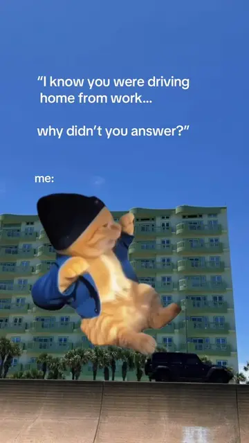 Text me 🎶 🚘 #Relatable #FunnyTok #IntrovertHumor #CatMeme #WorkLife