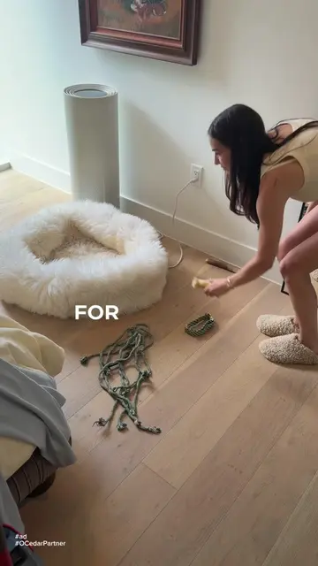 #ad For the first time in 6 years I have an empty house. No dogs, no chaos, just