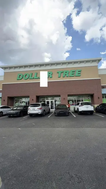 Luxury for Less at Dollar Tree and we are making a terracotta vase out of baking