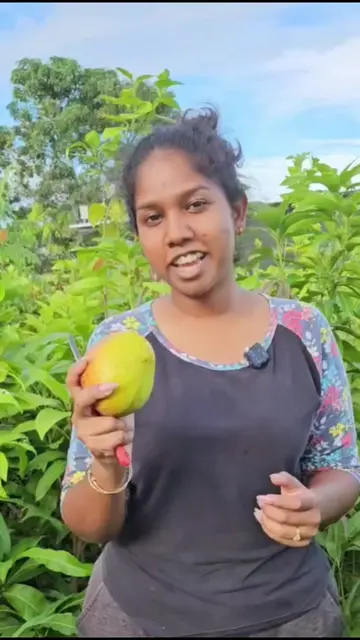 🥭 Sweet, juicy, smooth, and full of flavour... there's a reason Apple Mango is 