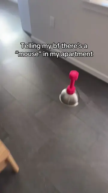 Bro was actually terrified #mouse #prank #fypシ #trends #meme 