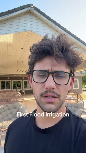 Chat did I overdo it #floodirrigation #yard #lawn #az #gilbert