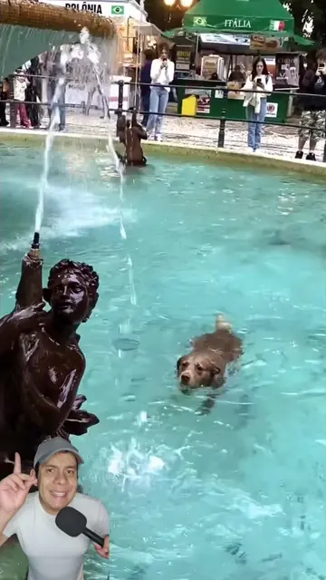 Todo empezó cuando este perrito decidió meterse a una fuente 🐶❤️⛲ #animals #lea