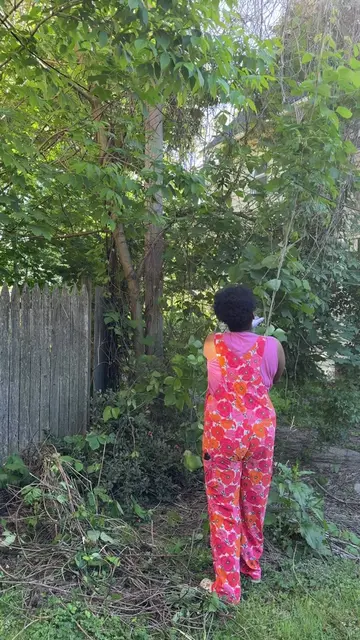 Welcome to the Kudzu Battle. This is the first step in taking my yard back. I’ve