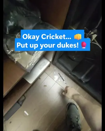 A customer came into the shop after a Cricket employee here in Pahrump told her 
