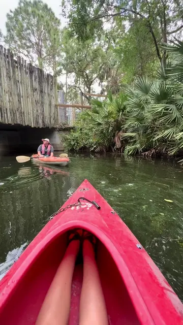 🦒🚣‍♀️ Did you know you can kayak with giraffes near Orlando?🚣‍♀️🦒 At Brevard