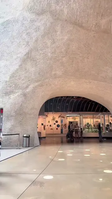 3 things you absolutely need to know before visiting the American Museum of Natu