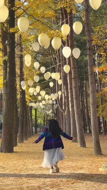 #creatorsearchinsights 🍂 Your Sign to Visit Nami Island This Autumn 🇰🇷   Colo