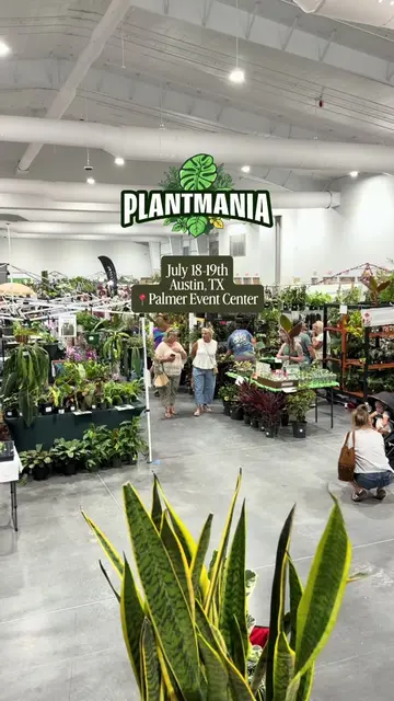 Apparently there’s a Japanese study on why plants make you happier… 🌿💚 So imag