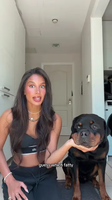 i can’t believe it! 😳 #rottweiler #trend #funny 