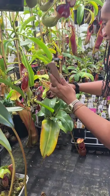 A little highlight reel from a couple weekends back, when the lovely @britt. 🌱 