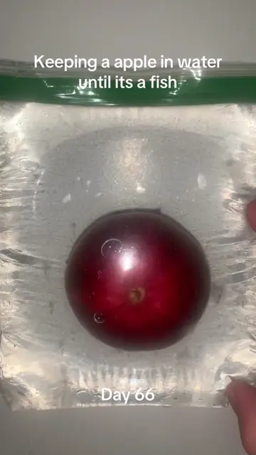 #viralchallenge #pleasedontflop #appleexperiment #appleinwater #sciencefun 