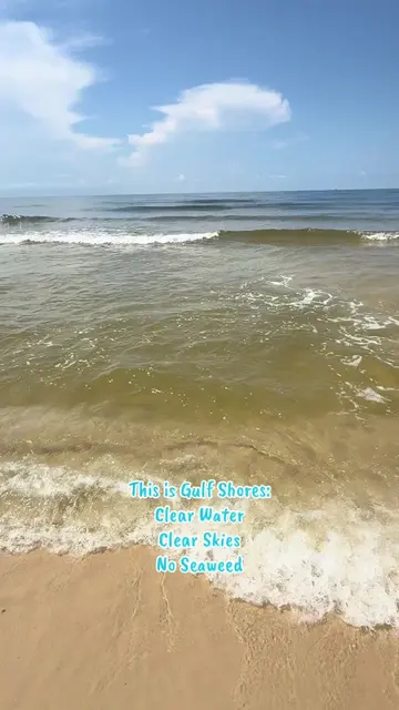 Enjoy the ocean and waves for a moment! 🌊🌊 #beach #waves #gulfshores #travel #