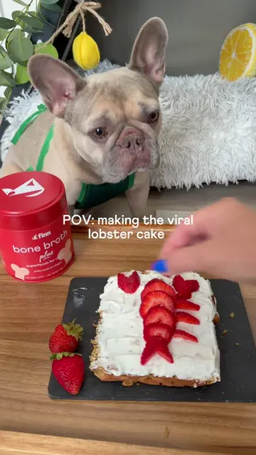 Viral Trader Joe’s lobster cake… but let’s make it dog-friendly 👀🤤 #viraldesse