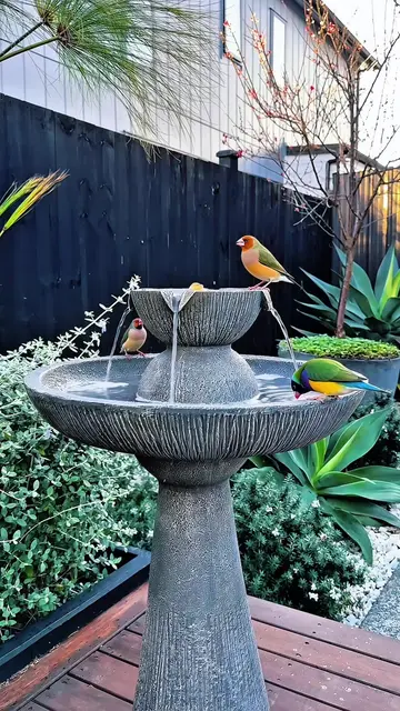 An elegant addition to our garden 🌿✨ This Bird Bath Solar Fountain not only add