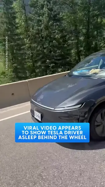 A viral Facebook video reportedly shows a woman asleep behind the wheel of a Tes
