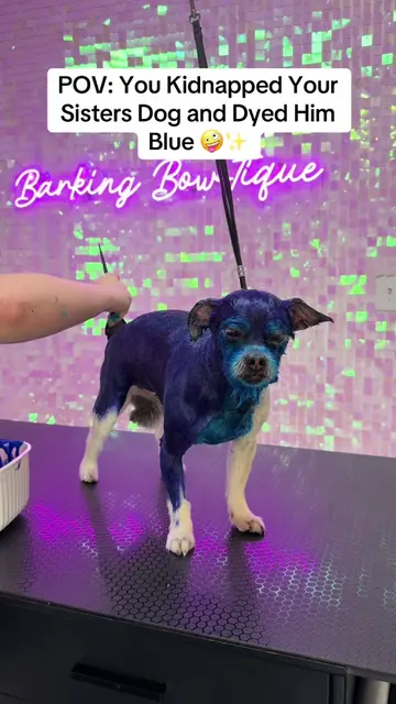 What Character Do You Think Paul Is?! 💙🌺✨  *I am a professional creative groom