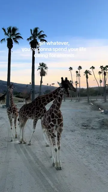 since my last “girl whatever, you’re gonna be a veterinarian” video got so much 
