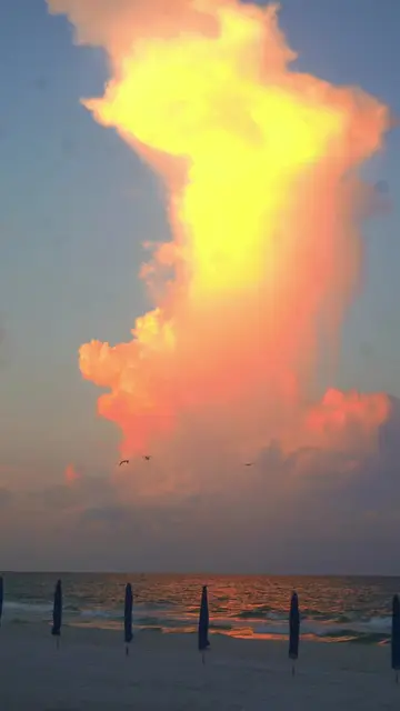 sunrise in panama city beach #pcb #panamacitybeach #florida #update 