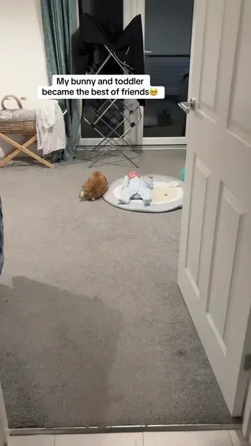 It’s been the best thing watching their friendship blossom 🥹 #PetsOfTikTok #rab
