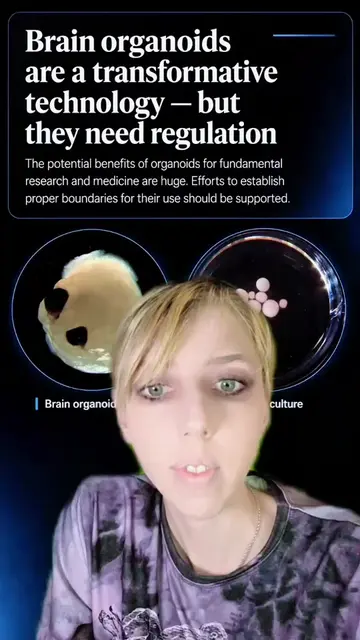 #explained #brain #biotech #organoids #Science 