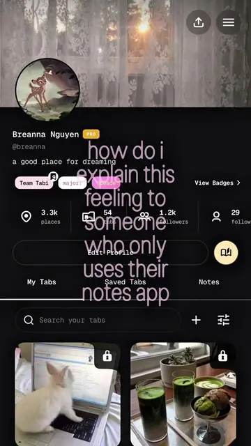 i absolutely adore this and hope you do too 𓂃 𓈒𓏸🪷#digitaldiary #digitaljourn