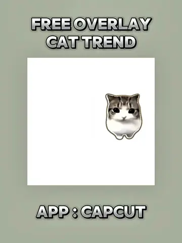 Free Overlay Cat Trend ( Dam-dam Dididi ) #CapCut #capcutpioneer  #overlay #tuto