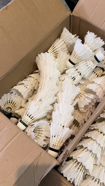 ✅Train smarter without spending more!  Used Shuttlecock Training Shuttles – 100 