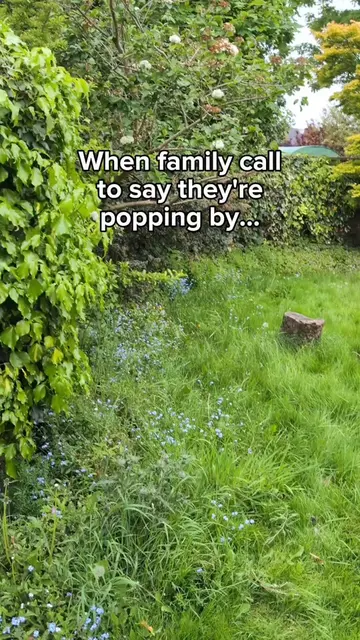 4 hours in 90 seconds. ⚡️ #gardening 