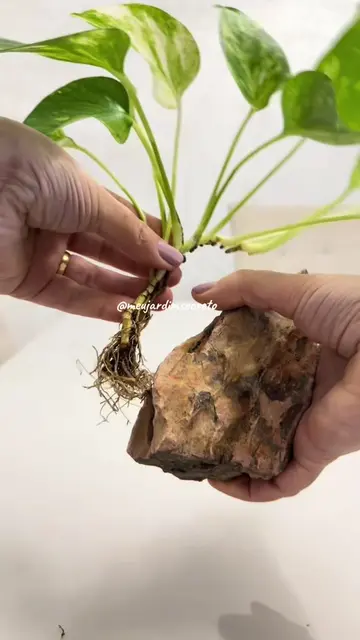 Um arranjo floral com um detalhe simples que faz uma diferença grande! Uma rocha